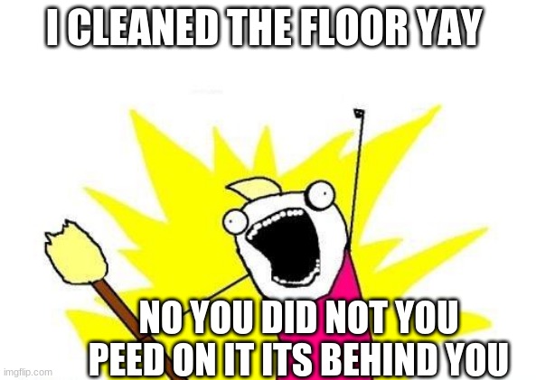 X All The Y | I CLEANED THE FLOOR YAY; NO YOU DID NOT YOU PEED ON IT ITS BEHIND YOU | image tagged in memes,x all the y | made w/ Imgflip meme maker