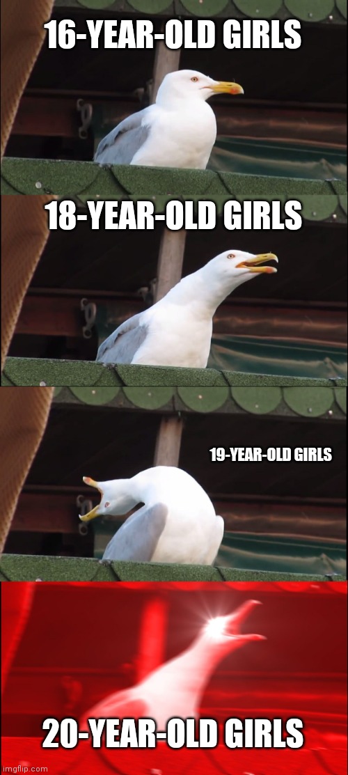 Inhaling Seagull | 16-YEAR-OLD GIRLS; 18-YEAR-OLD GIRLS; 19-YEAR-OLD GIRLS; 20-YEAR-OLD GIRLS | image tagged in memes,inhaling seagull | made w/ Imgflip meme maker