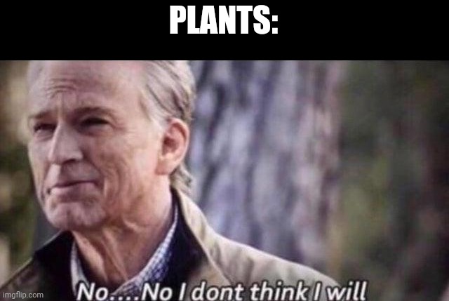 no i don't think i will | PLANTS: | image tagged in no i don't think i will | made w/ Imgflip meme maker