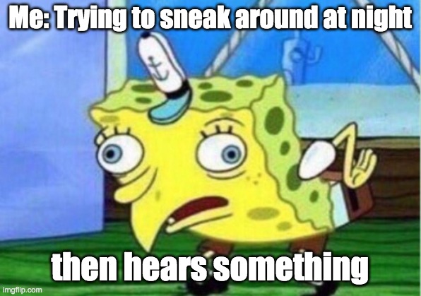 Mocking Spongebob Meme | Me: Trying to sneak around at night; then hears something | image tagged in memes,mocking spongebob | made w/ Imgflip meme maker