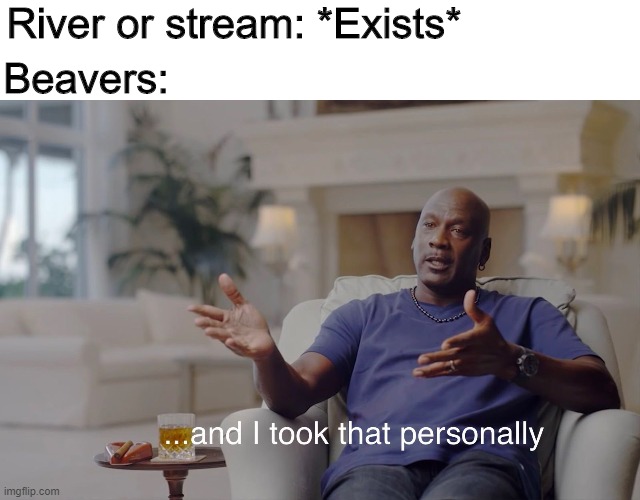 Someone's gotta put a stop to this! | River or stream: *Exists*; Beavers: | image tagged in and i took that personally,memes,funny,river,beaver | made w/ Imgflip meme maker
