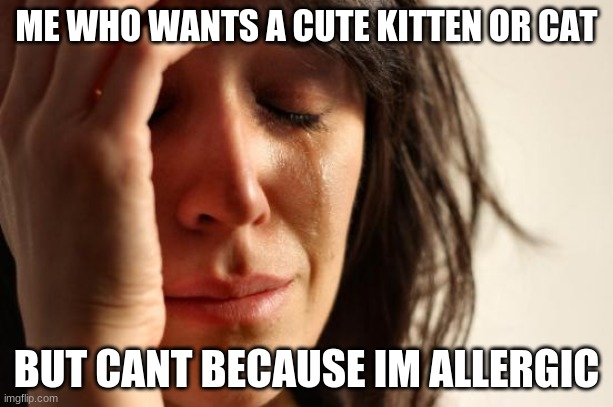 First World Problems | ME WHO WANTS A CUTE KITTEN OR CAT; BUT CANT BECAUSE IM ALLERGIC | image tagged in memes,first world problems,cats | made w/ Imgflip meme maker