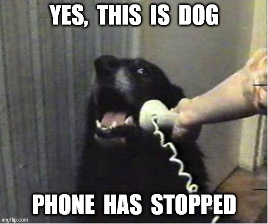 Yes this is dog | YES,  THIS  IS  DOG PHONE  HAS  STOPPED | image tagged in yes this is dog | made w/ Imgflip meme maker