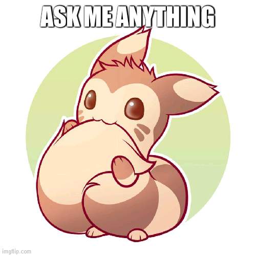 Cute ferret | ASK ME ANYTHING | image tagged in cute ferret | made w/ Imgflip meme maker