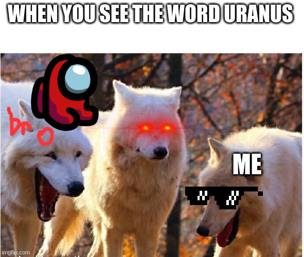 Laughing wolves | WHEN YOU SEE THE WORD URANUS; ME | image tagged in laughing wolves | made w/ Imgflip meme maker