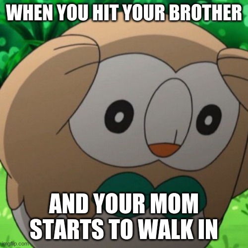 Rowlet Meme Template | WHEN YOU HIT YOUR BROTHER; AND YOUR MOM STARTS TO WALK IN | image tagged in rowlet meme template | made w/ Imgflip meme maker