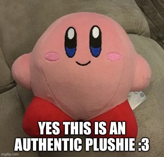 YES THIS IS AN AUTHENTIC PLUSHIE :3 | made w/ Imgflip meme maker