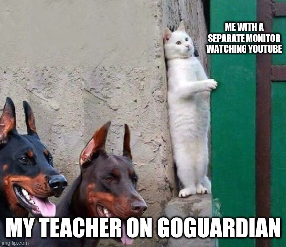 Sneaky cat | ME WITH A SEPARATE MONITOR WATCHING YOUTUBE; MY TEACHER ON GOGUARDIAN | image tagged in sneaky cat | made w/ Imgflip meme maker