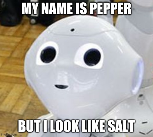 pepper | MY NAME IS PEPPER; BUT I LOOK LIKE SALT | image tagged in pepper | made w/ Imgflip meme maker