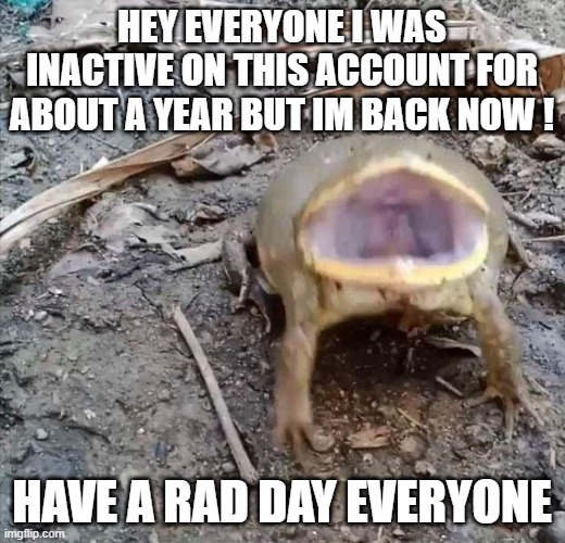 im a small account so nobody cares but wanted yall to know im not dead :) | HEY EVERYONE I WAS INACTIVE ON THIS ACCOUNT FOR ABOUT A YEAR BUT IM BACK NOW ! HAVE A RAD DAY EVERYONE | image tagged in frog | made w/ Imgflip meme maker