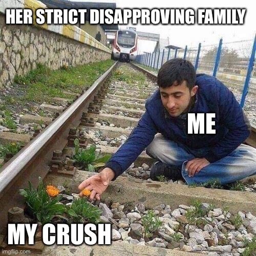 Not just her parents but her siblings, grandparents on both sides, aunts and uncles, cousins... The whole damn clan! | HER STRICT DISAPPROVING FAMILY; ME; MY CRUSH | image tagged in flower train man | made w/ Imgflip meme maker