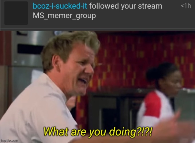 image tagged in what are you doing | made w/ Imgflip meme maker