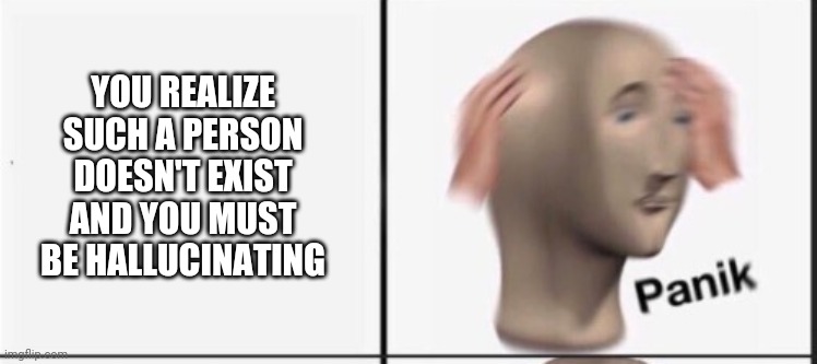 YOU REALIZE SUCH A PERSON DOESN'T EXIST AND YOU MUST BE HALLUCINATING | made w/ Imgflip meme maker