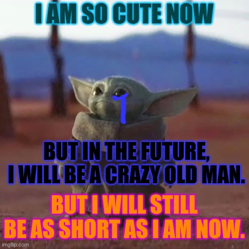 Baby Yoda | I AM SO CUTE NOW; BUT IN THE FUTURE, I WILL BE A CRAZY OLD MAN. BUT I WILL STILL BE AS SHORT AS I AM NOW. | image tagged in baby yoda | made w/ Imgflip meme maker