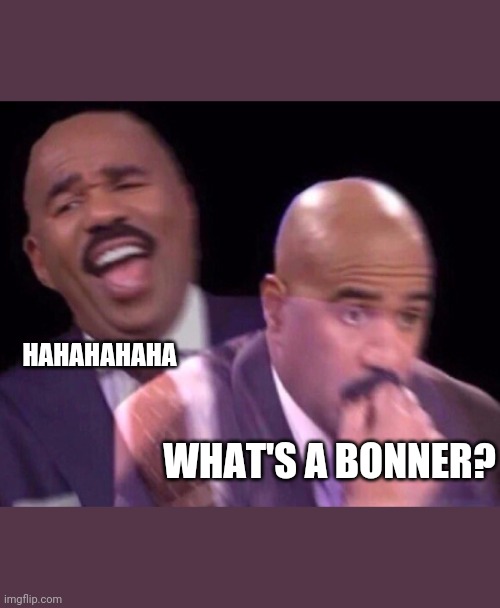 Steve Harvey Laughing Serious | HAHAHAHAHA WHAT'S A BONNER? | image tagged in steve harvey laughing serious | made w/ Imgflip meme maker