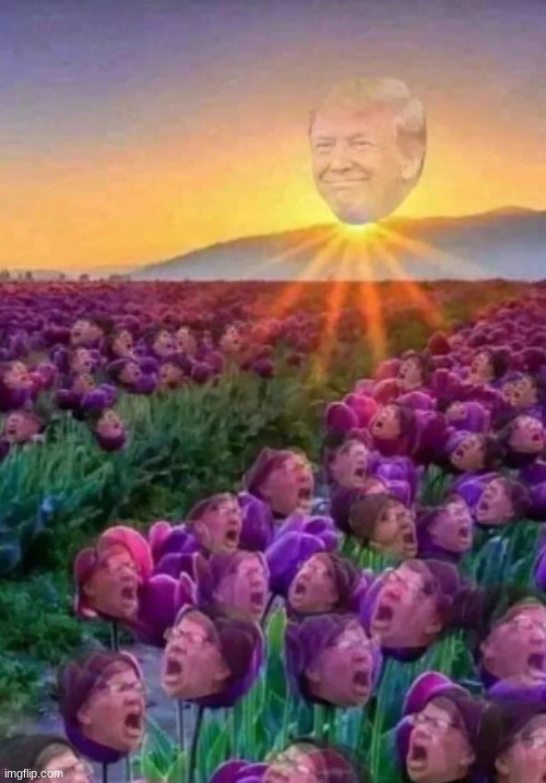 The sun will come out tomorrow | image tagged in memes,triggered liberal,donald trump,flowers,sun,funny | made w/ Imgflip meme maker