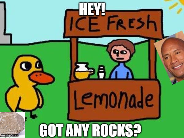 The Duck Song | HEY! GOT ANY ROCKS? | image tagged in the duck song | made w/ Imgflip meme maker
