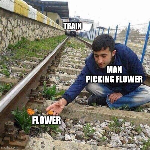 funny man meme omg .jpg | TRAIN; MAN PICKING FLOWER; FLOWER | image tagged in flower train man | made w/ Imgflip meme maker