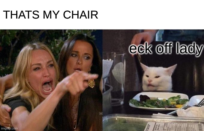 Woman Yelling At Cat | THATS MY CHAIR; eck off lady | image tagged in memes,woman yelling at cat | made w/ Imgflip meme maker