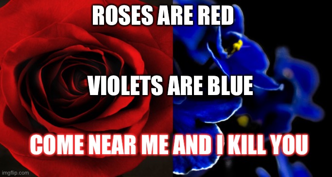 Don’t come near me | ROSES ARE RED; VIOLETS ARE BLUE; COME NEAR ME AND I KILL YOU | image tagged in roses are red violets are blue | made w/ Imgflip meme maker