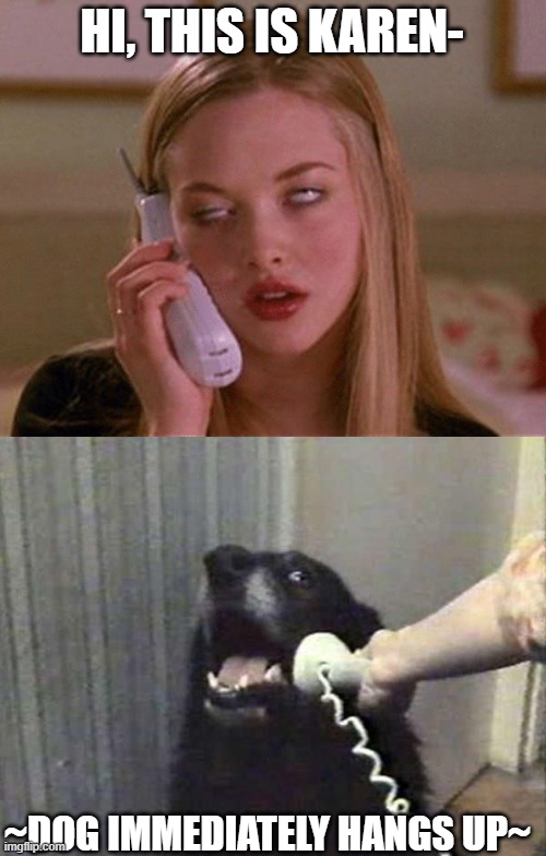 even dog knows | HI, THIS IS KAREN-; ~DOG IMMEDIATELY HANGS UP~ | image tagged in karen phone,dog phone | made w/ Imgflip meme maker