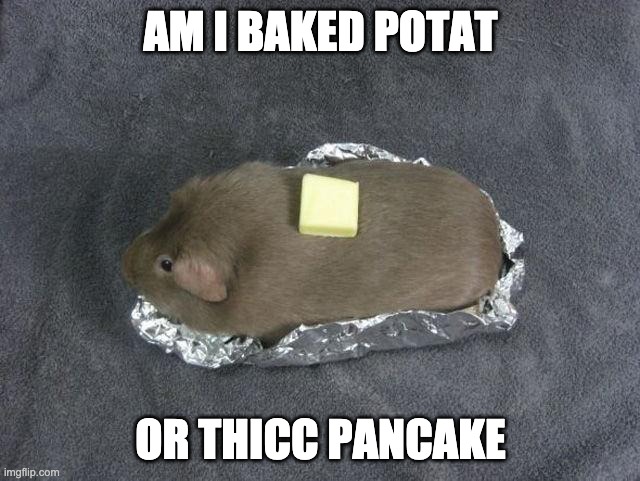 how about thicc potat | AM I BAKED POTAT; OR THICC PANCAKE | image tagged in baked potato guinea pig | made w/ Imgflip meme maker