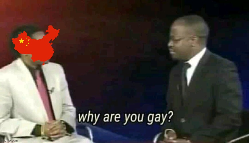 Why are you gay? | image tagged in why are you gay | made w/ Imgflip meme maker