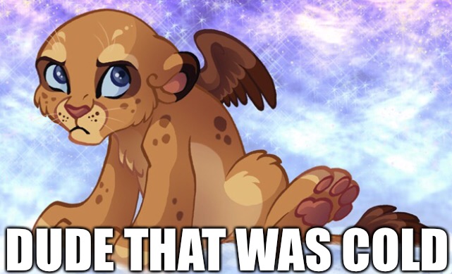 DUDE THAT WAS COLD | made w/ Imgflip meme maker