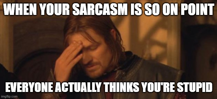 ThE bIgGeSt SiGh MoMeNt | WHEN YOUR SARCASM IS SO ON POINT; EVERYONE ACTUALLY THINKS YOU'RE STUPID | image tagged in boromir facepalm | made w/ Imgflip meme maker