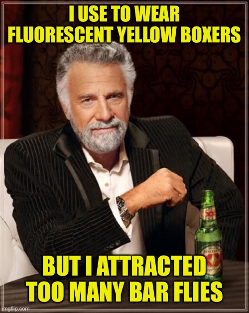 You had to be there | I USE TO WEAR FLUORESCENT YELLOW BOXERS; BUT I ATTRACTED TOO MANY BAR FLIES | image tagged in memes,the most interesting man in the world | made w/ Imgflip meme maker