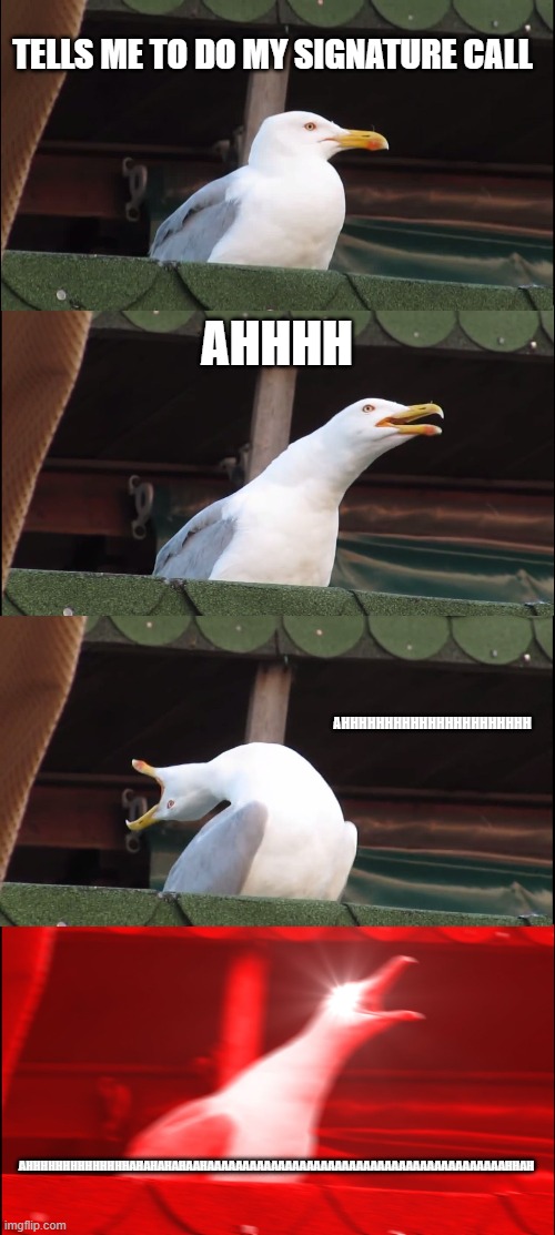 Inhaling Seagull | TELLS ME TO DO MY SIGNATURE CALL; AHHHH; AHHHHHHHHHHHHHHHHHHHHHH; AHHHHHHHHHHHHHHAHAHAHAHAAHAAAAAAAAAAAAAAAAAAAAAAAAAAAAAAAAAAAAAAAAAAHHAH | image tagged in memes,inhaling seagull | made w/ Imgflip meme maker