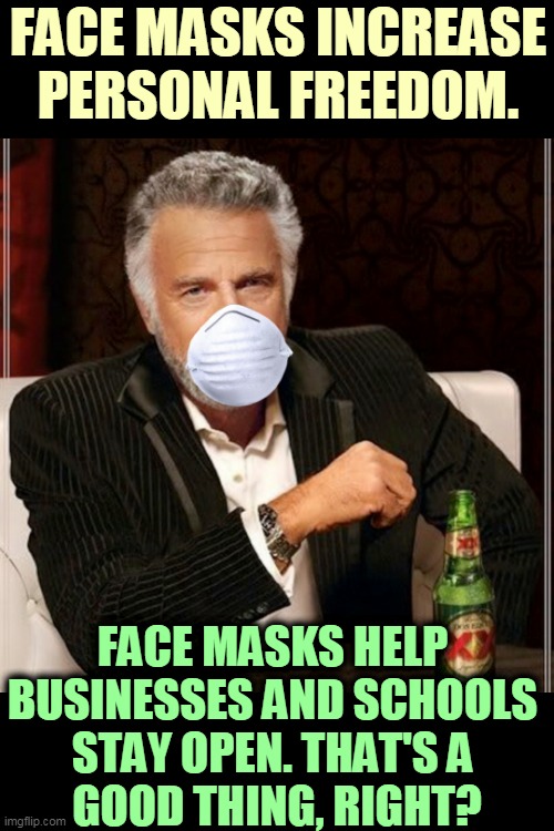 States with mask use have better economies. That enhances personal freedom. | FACE MASKS INCREASE PERSONAL FREEDOM. FACE MASKS HELP 
BUSINESSES AND SCHOOLS 
STAY OPEN. THAT'S A 
GOOD THING, RIGHT? | image tagged in i dont always wear a mask,pandemic,coronavirus,covid-19,face mask,freedom | made w/ Imgflip meme maker