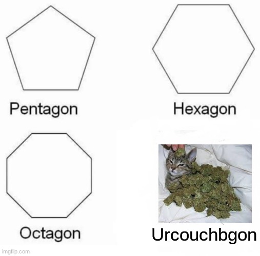 When ur cat gets into the catnip | Urcouchbgon | image tagged in memes,pentagon hexagon octagon | made w/ Imgflip meme maker