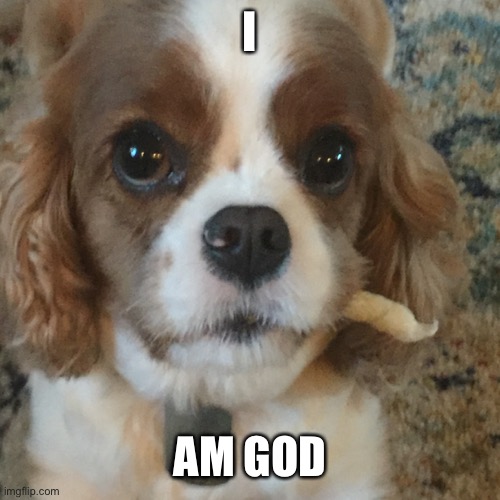 I AM GOD | made w/ Imgflip meme maker