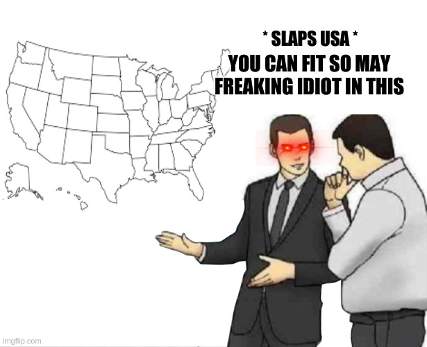 * SLAPS USA *; YOU CAN FIT SO MAY FREAKING IDIOT IN THIS | image tagged in put your freaking mask on | made w/ Imgflip meme maker