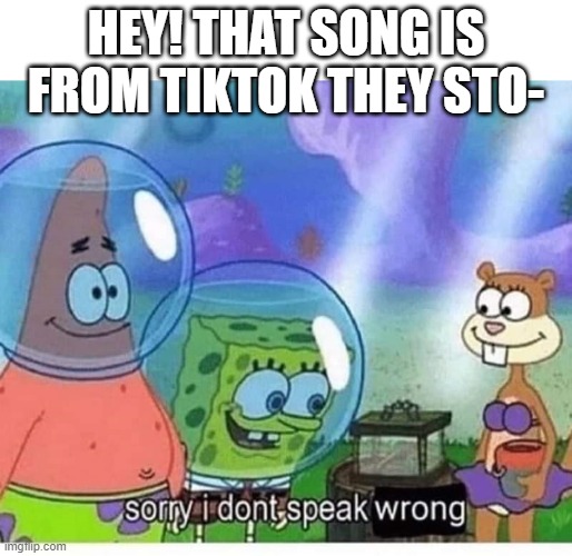 sorry i dont speak wrong | HEY! THAT SONG IS FROM TIKTOK THEY STO- | image tagged in sorry i dont speak wrong | made w/ Imgflip meme maker