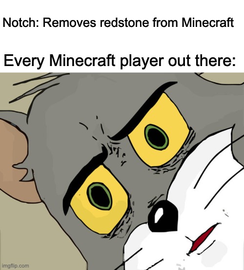 Just Imagine this crap | Notch: Removes redstone from Minecraft; Every Minecraft player out there: | image tagged in memes,unsettled tom | made w/ Imgflip meme maker