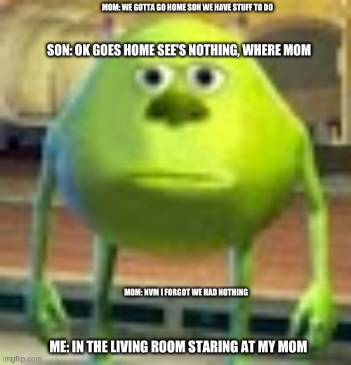 Sully Wazowski | MOM: WE GOTTA GO HOME SON WE HAVE STUFF TO DO; SON: OK GOES HOME SEE'S NOTHING, WHERE MOM; MOM: NVM I FORGOT WE HAD NOTHING; ME: IN THE LIVING ROOM STARING AT MY MOM | image tagged in sully wazowski | made w/ Imgflip meme maker