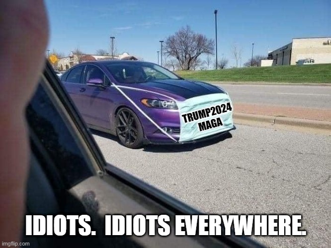 Maga 2024 | TRUMP2024
MAGA; IDIOTS.  IDIOTS EVERYWHERE. | image tagged in trump,maga20224,maga | made w/ Imgflip meme maker