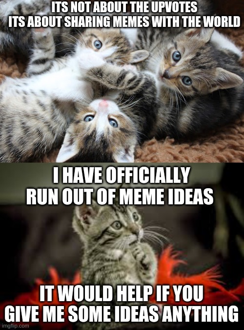 Out of Ideas | ITS NOT ABOUT THE UPVOTES
ITS ABOUT SHARING MEMES WITH THE WORLD; I HAVE OFFICIALLY RUN OUT OF MEME IDEAS; IT WOULD HELP IF YOU GIVE ME SOME IDEAS ANYTHING | image tagged in thinking cat,me | made w/ Imgflip meme maker