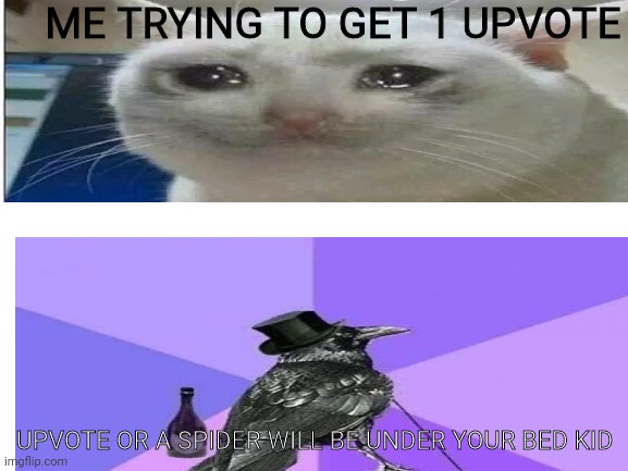 Why | ME TRYING TO GET 1 UPVOTE; UPVOTE OR A SPIDER WILL BE UNDER YOUR BED KID | image tagged in crying cat | made w/ Imgflip meme maker