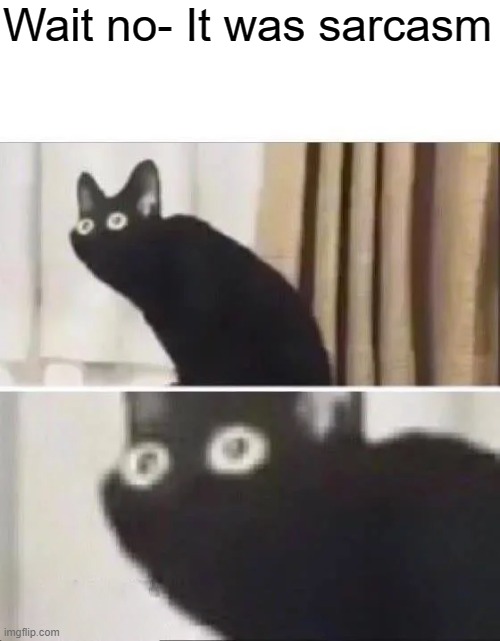 Oh No Black Cat | Wait no- It was sarcasm | image tagged in oh no black cat | made w/ Imgflip meme maker
