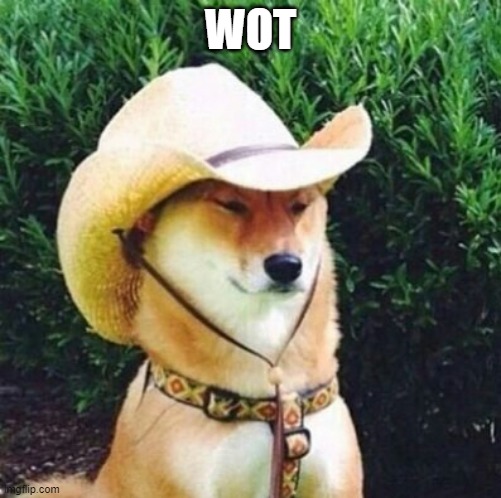 wot | WOT | image tagged in wot in tarnation dog | made w/ Imgflip meme maker