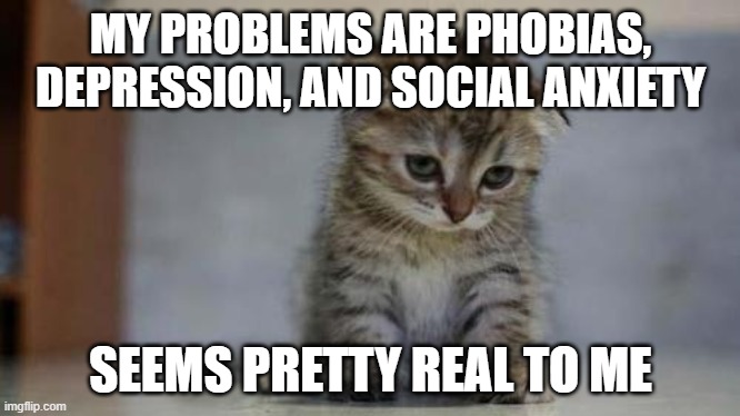 Sad kitten | MY PROBLEMS ARE PHOBIAS, DEPRESSION, AND SOCIAL ANXIETY SEEMS PRETTY REAL TO ME | image tagged in sad kitten | made w/ Imgflip meme maker