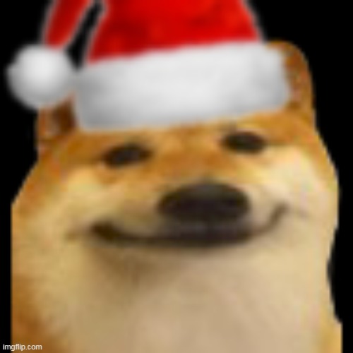 shibe | image tagged in christmas doge | made w/ Imgflip meme maker