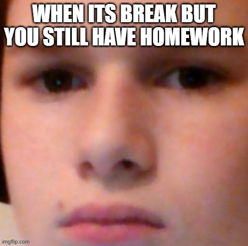 y | WHEN ITS BREAK BUT YOU STILL HAVE HOMEWORK | image tagged in nacl's sad face | made w/ Imgflip meme maker