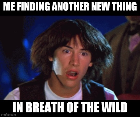 I started playing recently | ME FINDING ANOTHER NEW THING; IN BREATH OF THE WILD | image tagged in woah | made w/ Imgflip meme maker