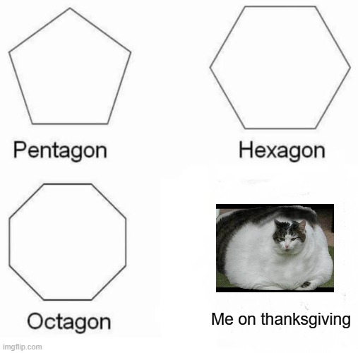 Im- stuffed- like our turkey... |  Me on thanksgiving | image tagged in memes,pentagon hexagon octagon | made w/ Imgflip meme maker
