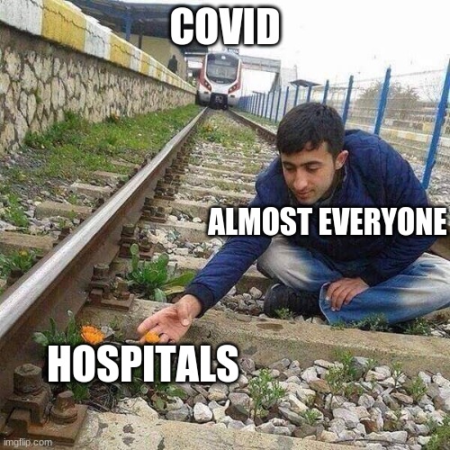 Flower Train Man | COVID; ALMOST EVERYONE; HOSPITALS | image tagged in flower train man | made w/ Imgflip meme maker