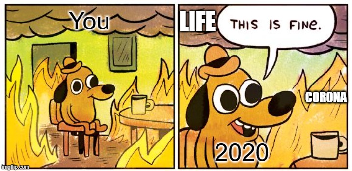 We're all compleately doomed.. |  You; LIFE; CORONA; 2020 | image tagged in memes,this is fine | made w/ Imgflip meme maker